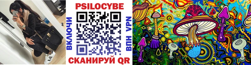 Галлюциногенные грибы Cubensis  Жирновск 